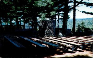Cathedral Pines Rindge New Hampshire NH Pulpit Choir Mound Postcard UNP VTG 