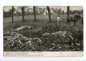 497833 Propaganda WWI horse corpses found vicinity of Senlis LAPINA France