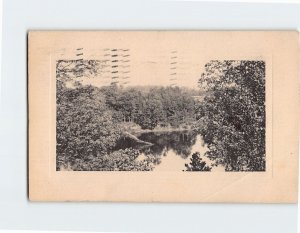Postcard Nature Trees Lake Scenery Vintage Picture