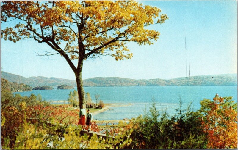 Sandy Beaches Hague Lake George Postcard VTG UNP Dexter Vintage Unused Chrome 