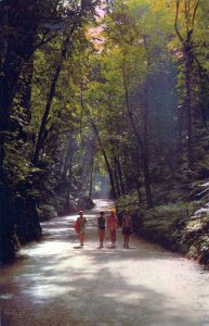 VINTAGE POSTCARD WALKING THE TREE-LINED PATHS OF JAMAICA SLOGAN CANCEL 1970s