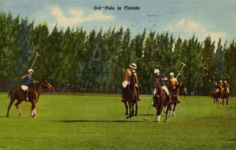 Polo in Florida