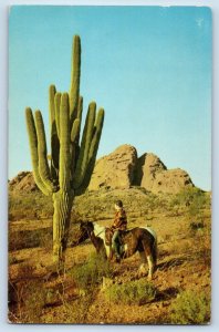 Yuma Arizona Postcard Giant Saguaro Cactus Sentinel Desert c1960 Vintage Antique