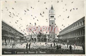 Modern Postcard Venezia pigeons in St. Mark's Square