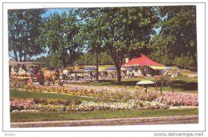 One of the many beautiful scenic trails on Mackinac Island, Michigan,  40-60s