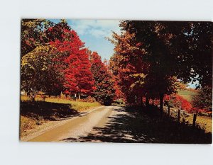Postcard Vermont's Fall Foliage, Vermont