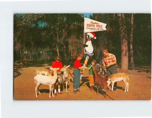 Postcard Tommy Bartlett, children delight in feeding the animals, Deer Ranch, FL
