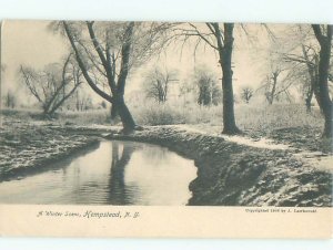 Pre-1907 NATURE SCENE Long Island - Hempstead - Near Queens New York NY AD8749