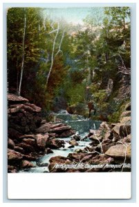 c1910 Canyon at Pemaquid Falls, Pemaquid Maine ME Antique Unposted Postcard