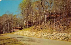 Cambridge Ohio 1960s Postcard Cabin Area at Salt Fork State Park