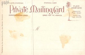 Achillies Hawaiian Fish Fish Unused 