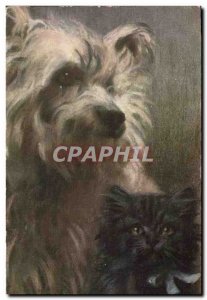 Postcard Old Dogs Puppy Dog Cat Kitten