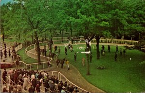 New York Long Island Belmont Park Walking Ring