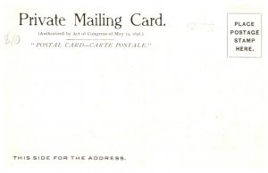 Connecticut Mystic , Archway Elm Grove Cemetery  , private mailing card