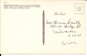 Beautiful Woman, Swimsuit, Weeki Wachee FL Living Mermaids, Sea Horse, Legs