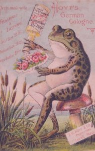 1800s Brattleboro VT Geo Greene Frog Hoyt's German Cologne Victorian Trade Card