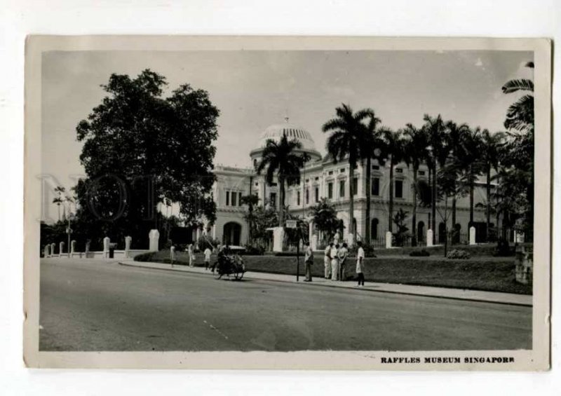 289279 SINGAPORE Raffles museum Vintage photo postcard