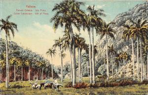 br103966 isle of pines cuban landscape uk  central america