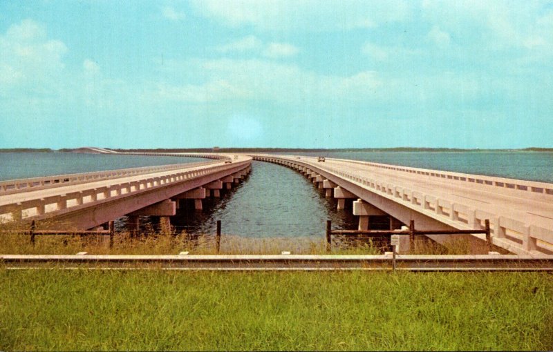 Florida Jacksonville Henry Holland Buckman Bridge