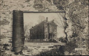 Skowhegan Maine ME Court House Birch Bark Border Vintage RPPC Postcard