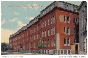 New York Buffalo Canisuis College 1912