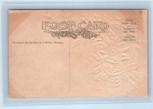 Greetings From GALENA, KS Kansas ~ c1910s Embossed Cherokee County  Postcard