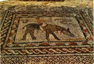 CPM EGYPTE Volubilis-Mosaiques romains (343875)