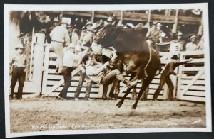 Mint USA Real Picture Postcard Round-Up Time Pendleton Oregon Rodeo Smith Photo