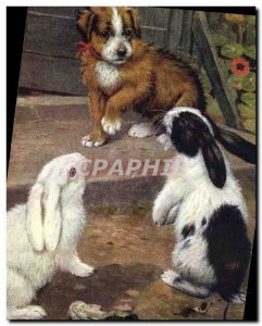 Postcard Old Rabbit Rabbit Dog
