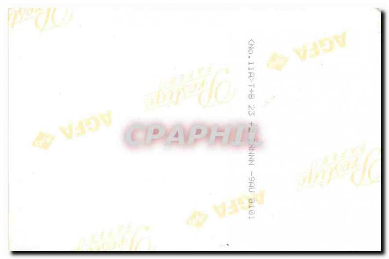 Photo Peasant in his father Cows