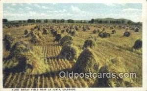 Wheat Field Farming 1928 