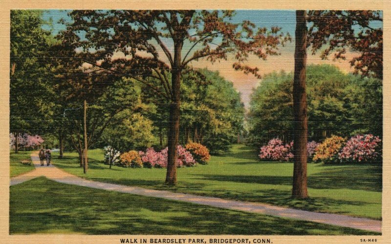 Vintage Postcard 1930's Walk In Beardsley Park Bridgeport Connecticut CT United States