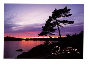 30,000 Island, Georgian Bay, Ontario, Large 5 X 7 inch Postcard