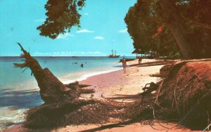 Vintage Postcard Beach Scene St. James Coast Barbados West Indies Wayfarer Pub.
