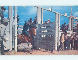 Pre-1980 WESTERN RODEO Postmarked Flagstaff Arizona AZ AG6070