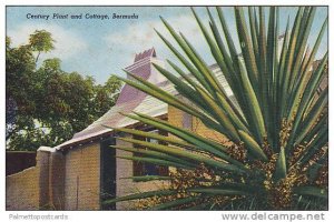 Century Plant and Cottage, Bermuda, 40-60s