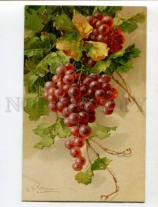 402607 Sweet GRAPES by C. KLEIN vintage GOM #1613 PC 