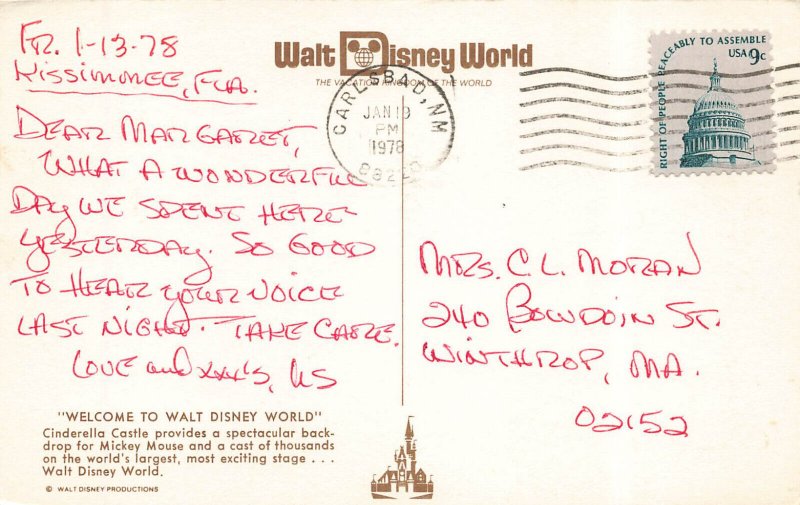 Walt Disney World Busy Scene With Mickey & Donald Duck Etc., Postcard,