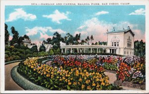 Dahlias And Cannas Balboa Park San Diego California Vintage Postcard C144