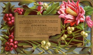 1880's FAB Graphical Odontine Tooth Powder Quack John Wanamaker Victorian F27