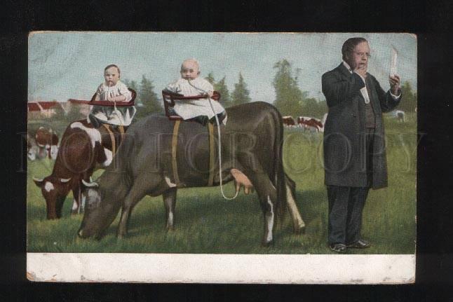 058030 Hungry MULTIPLE BABIES on COW vintage Photo