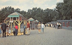 Monkey Colonies and Bird Pens Southwick Wild Animal Farm  - Mendon, Massachus...