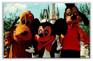 Mickey Mouse Pluto Goofy Disney World Orlando Florida FL UNP Chrome Postcard L19