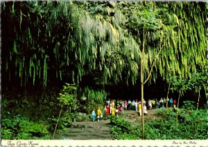 View in the Fern Grotto, Island of Kauai HI Postcard I68