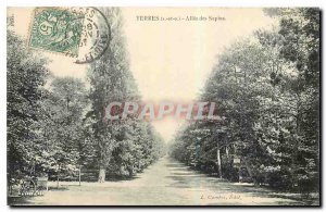 Old Postcard Yerres S and O Allee des firs