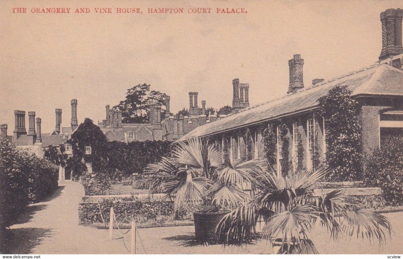 SURREY, England, 19001910s; The Orangery And Vine House, Hampton Court