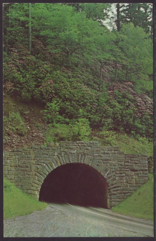 Tunnel US 441 Near Newfound Gap Postcard BIN