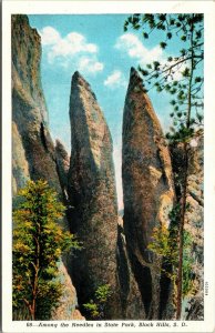 Vtg Among The Needles Custer State Park Black Hills South Dakota SD Postcard