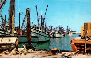 Florida Key West Harbor Shrimp Boats