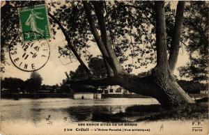 CPA Les Beaux Sites de la Marne - CRÉTEIL - L'Arbre Panché (Vue.. (659646)